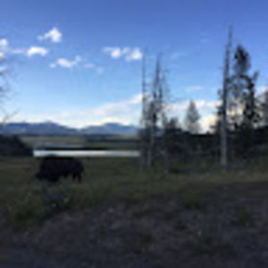 Meet your Posher, Peyton